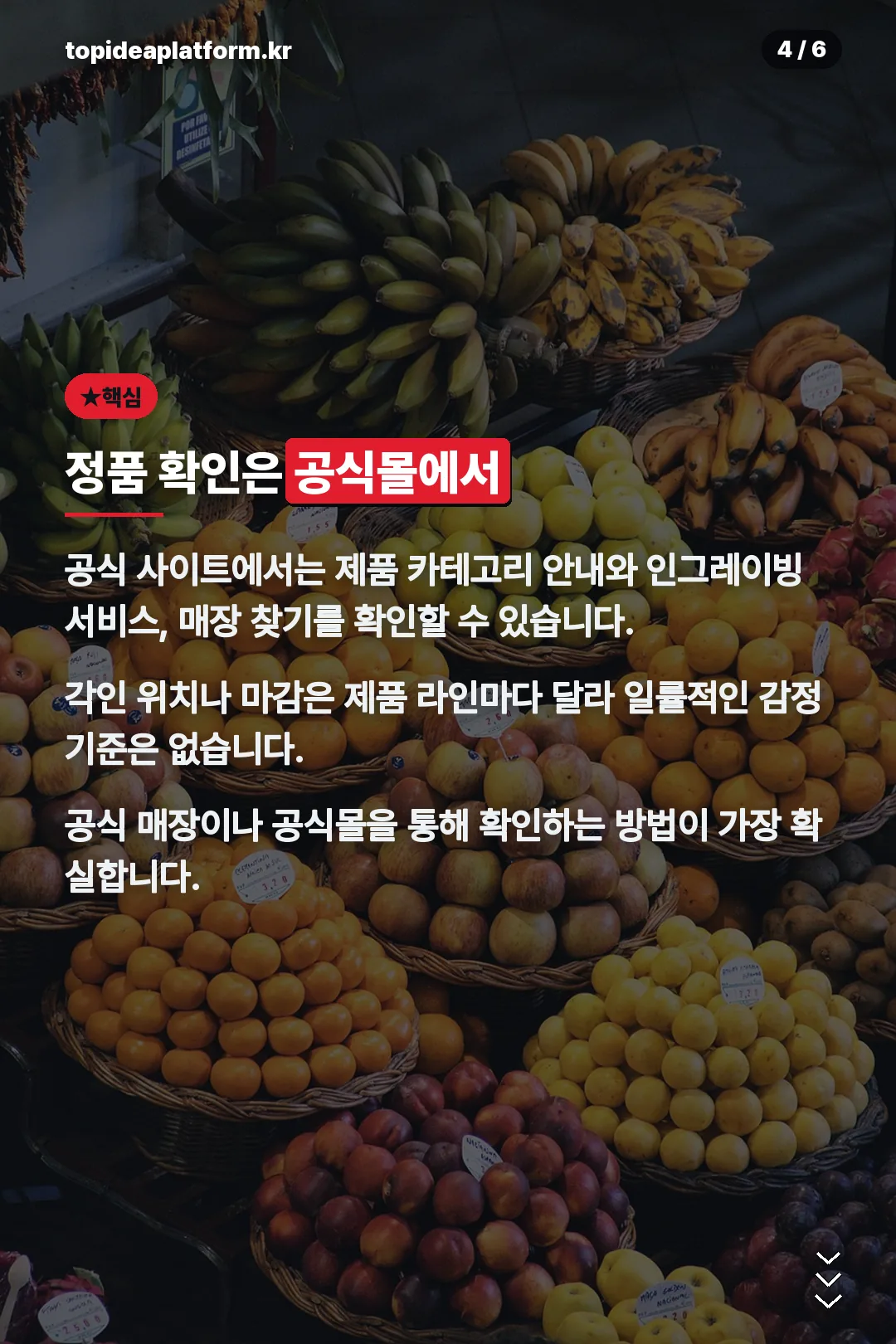 정품 확인은 공식몰에서
