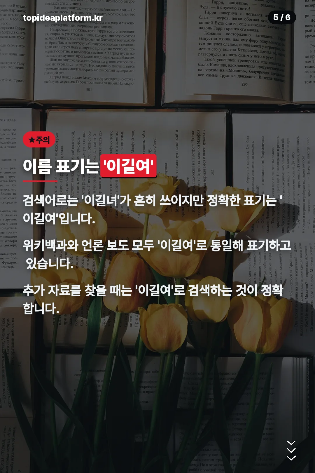 이름 표기는 이길여