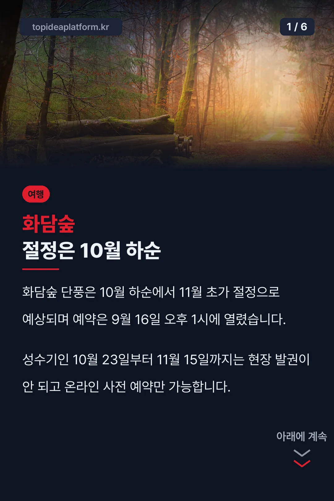 화담숲 절정은 10월 하순