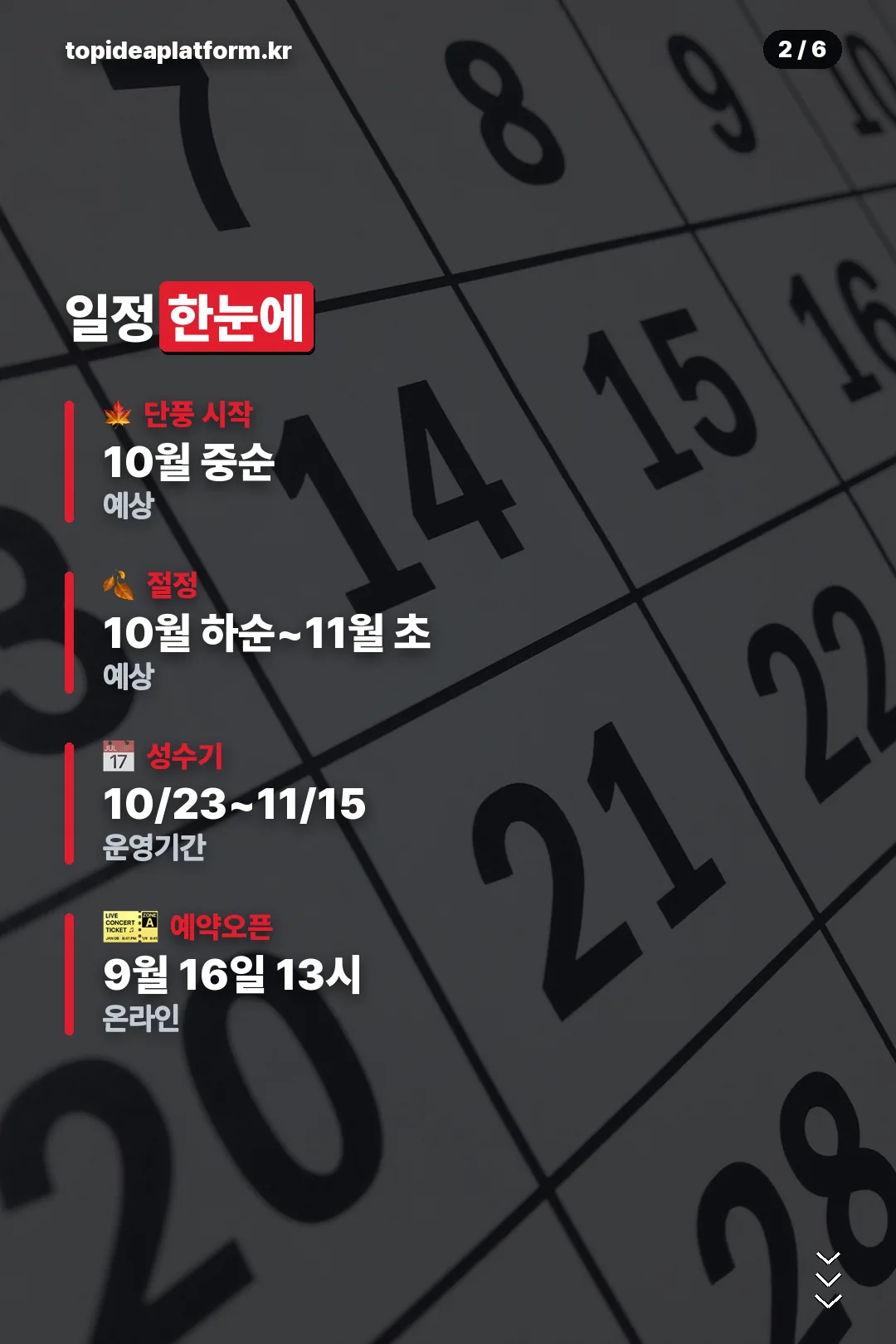 일정 한눈에