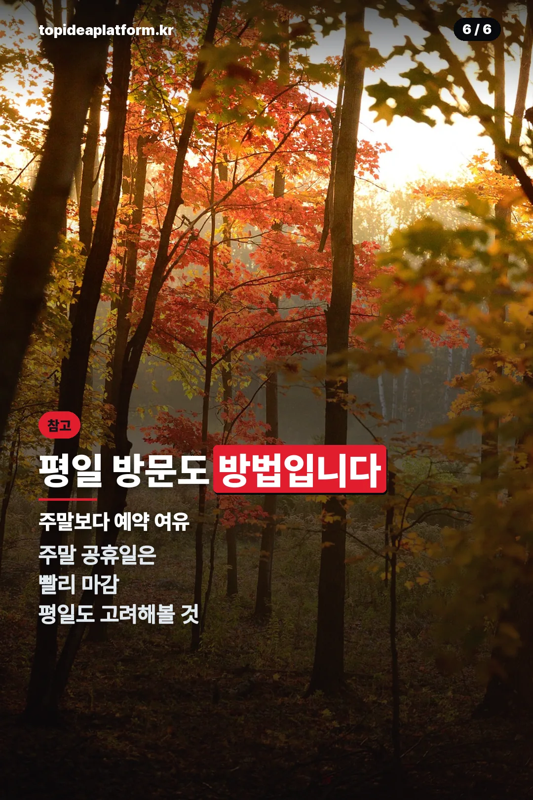 평일 방문 팁