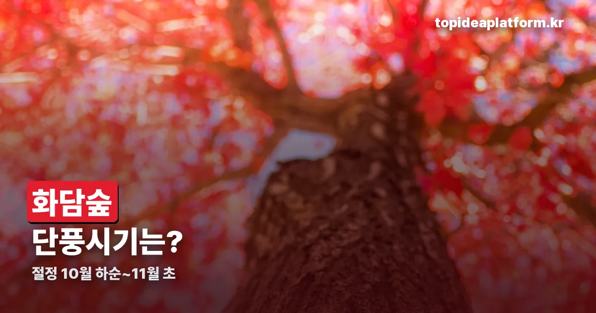 화담숲 단풍시기 정리 썸네일