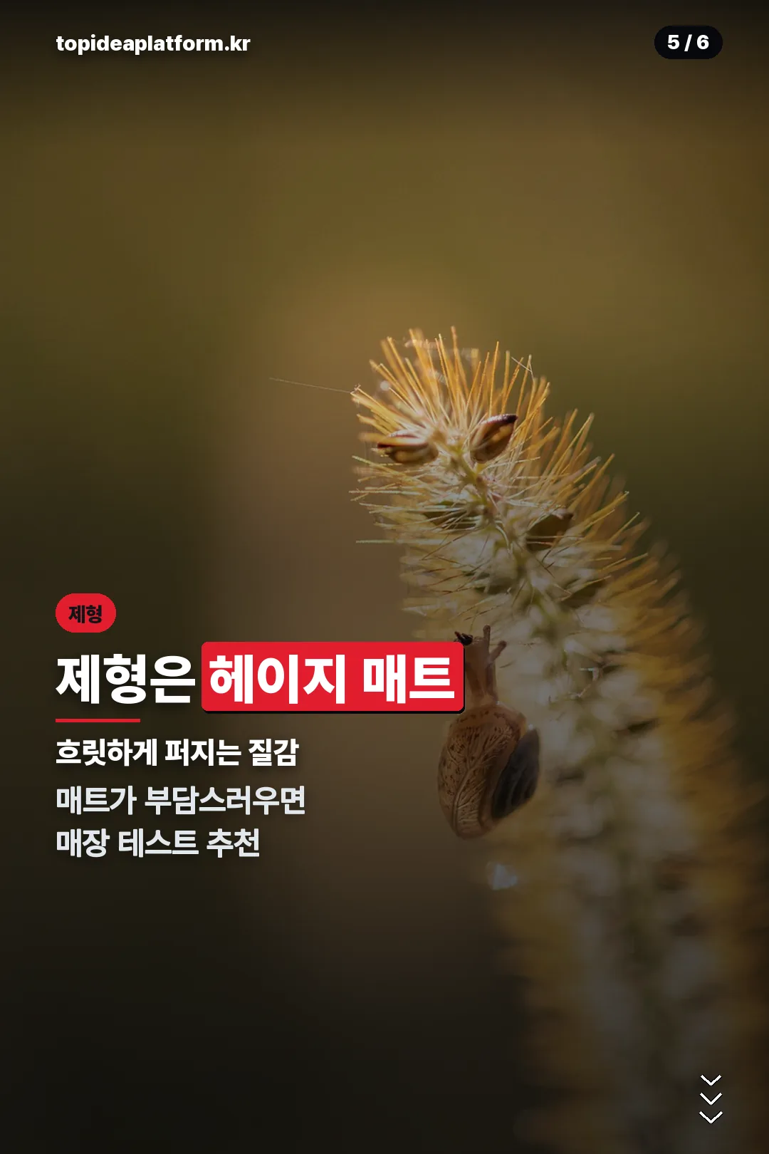 헤이지 매트 제형