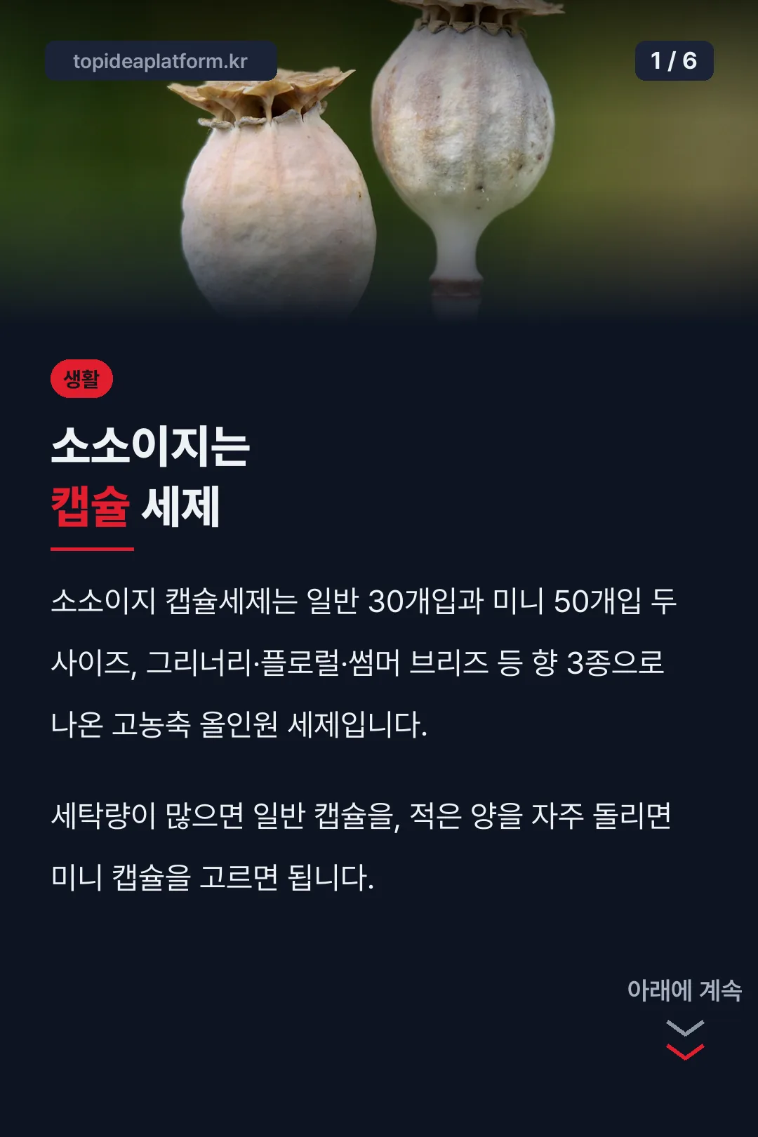소소이지는 캡슐 세제