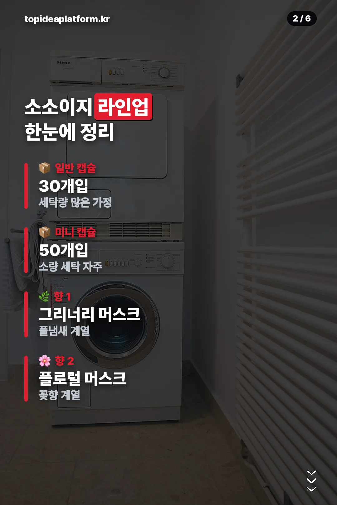 라인업 한눈에 정리