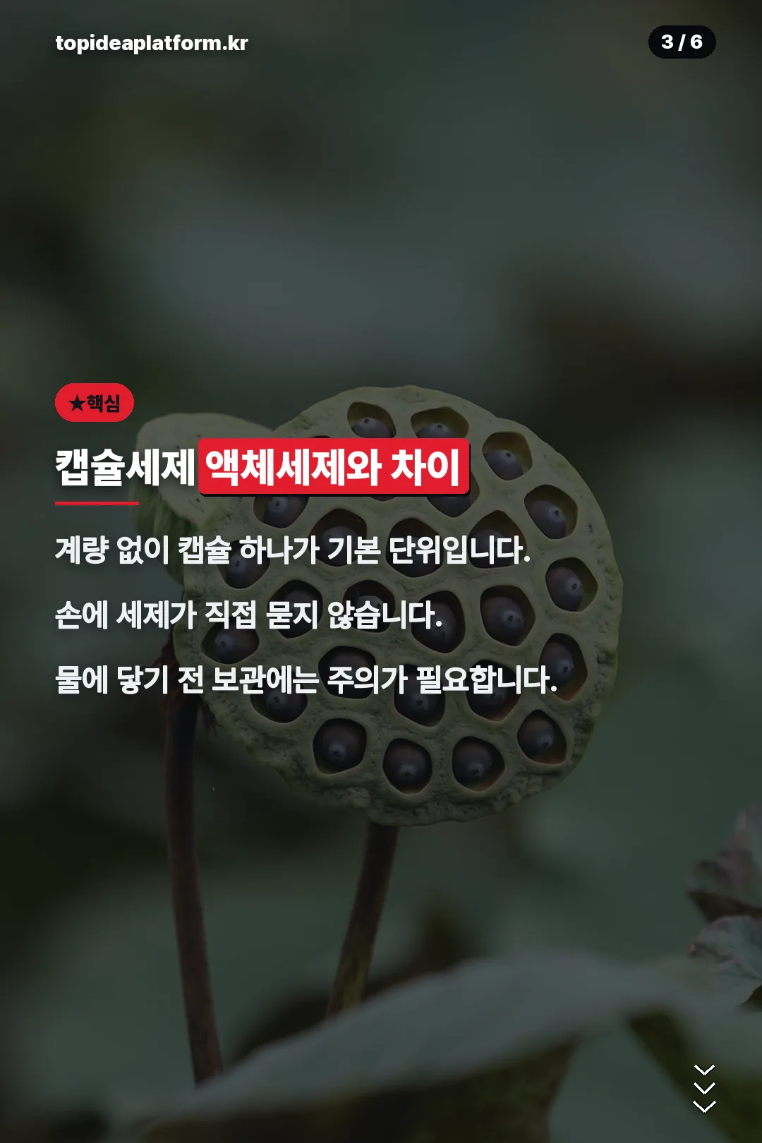 캡슐세제 액체세제 차이