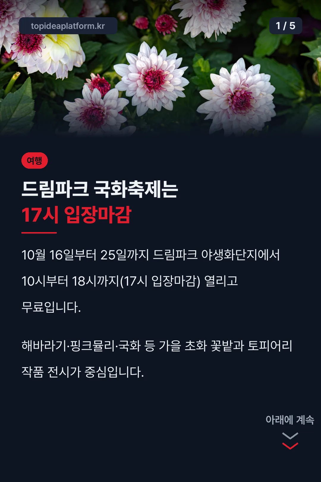 드림파크 국화축제 핵심 정리