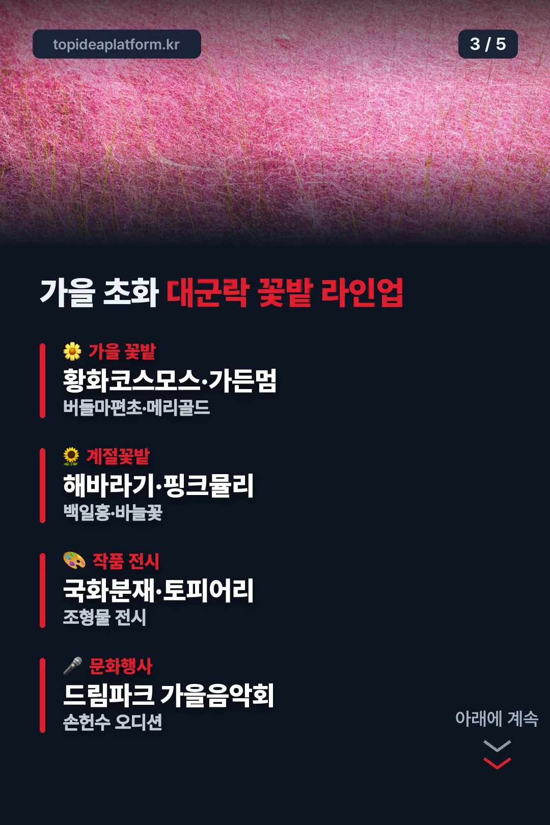 대군락 꽃밭 라인업
