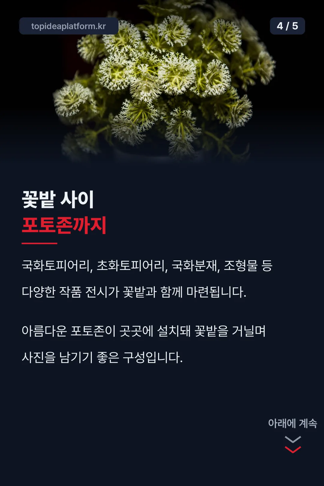 포토존 작품 전시