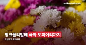 드림파크 국화축제 2026 — 10월 16~25일, 야생화단지 가을 초화 프로그램 정리