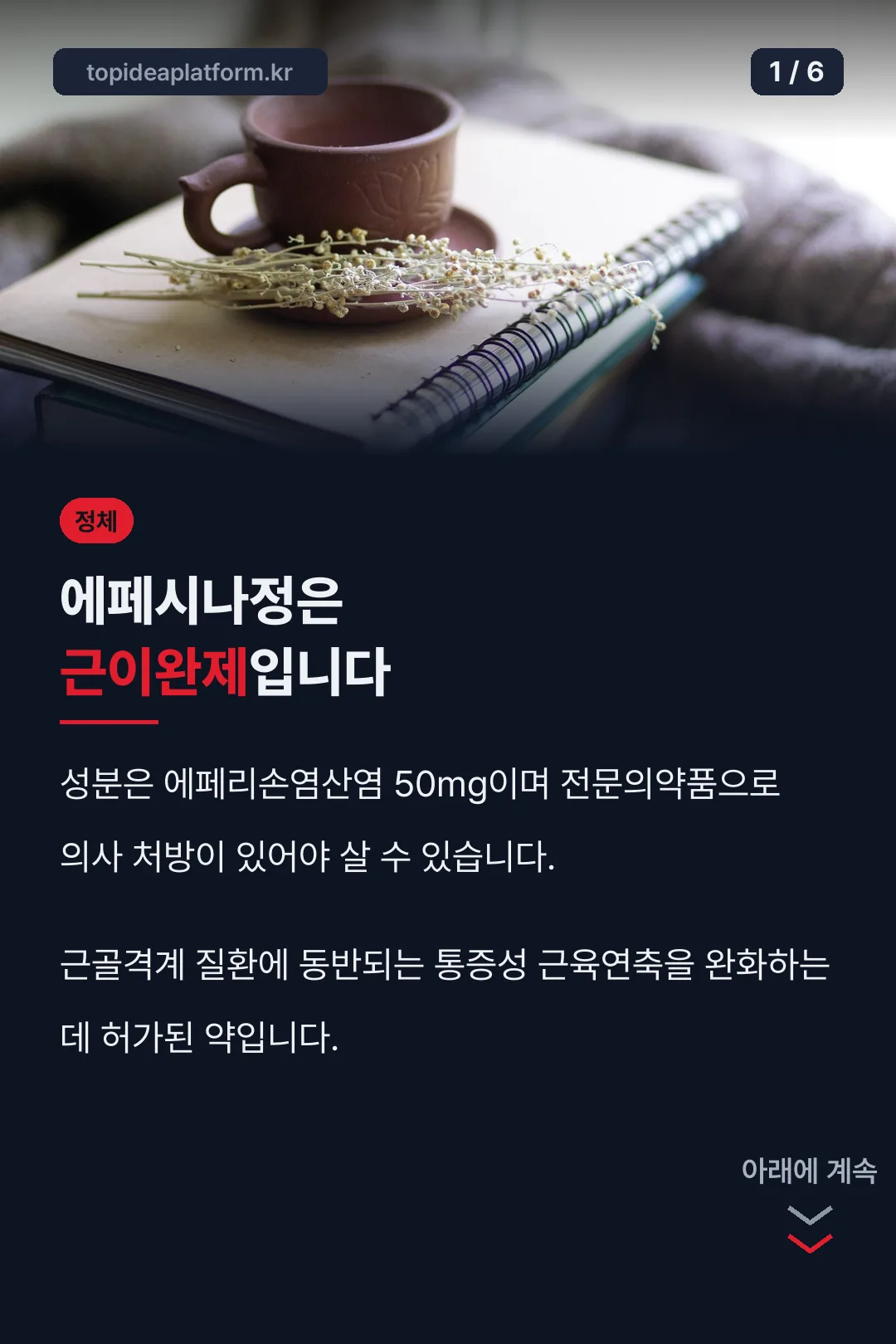 에페시나정 정체 소개