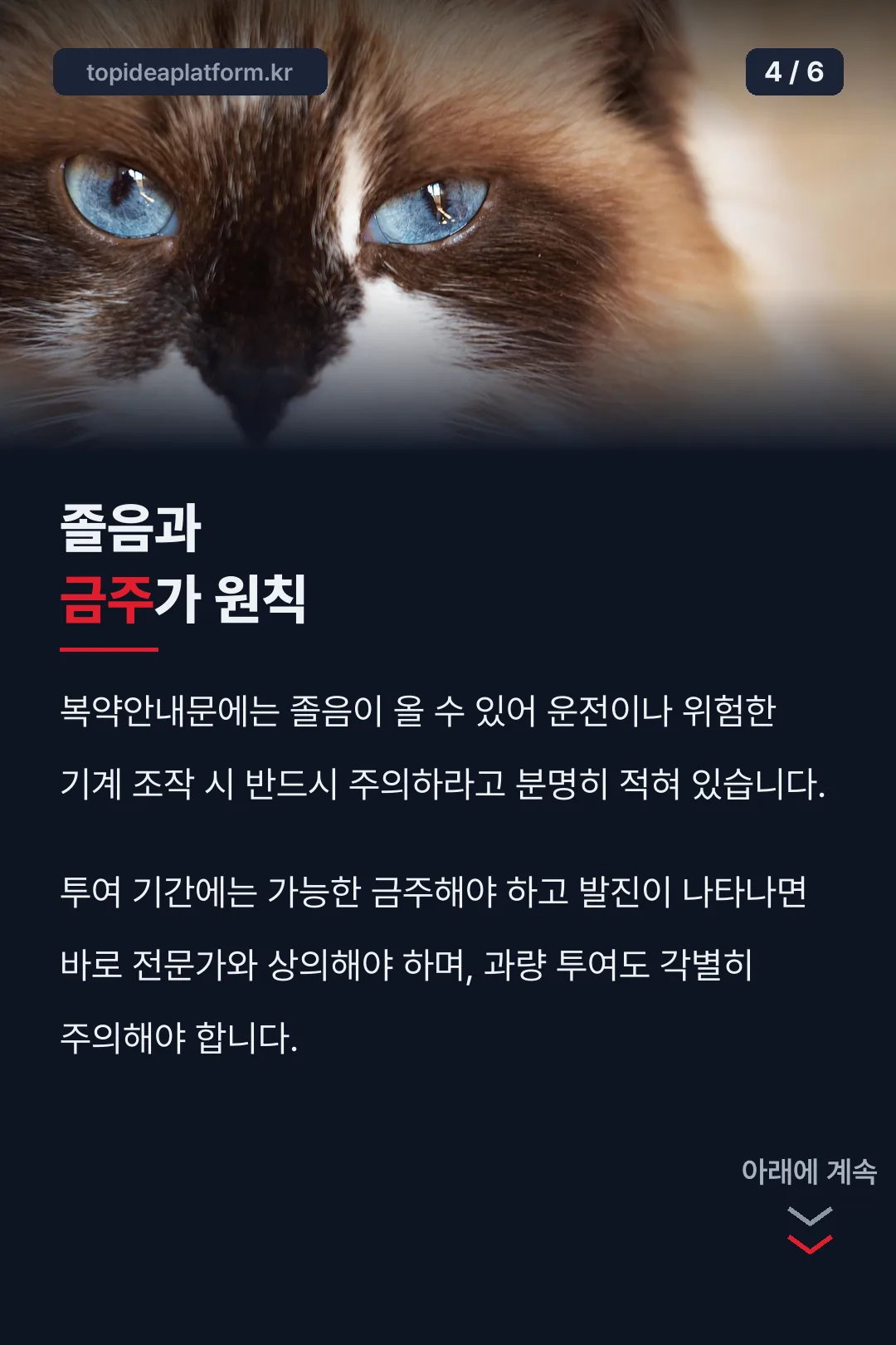 졸음·금주 특징