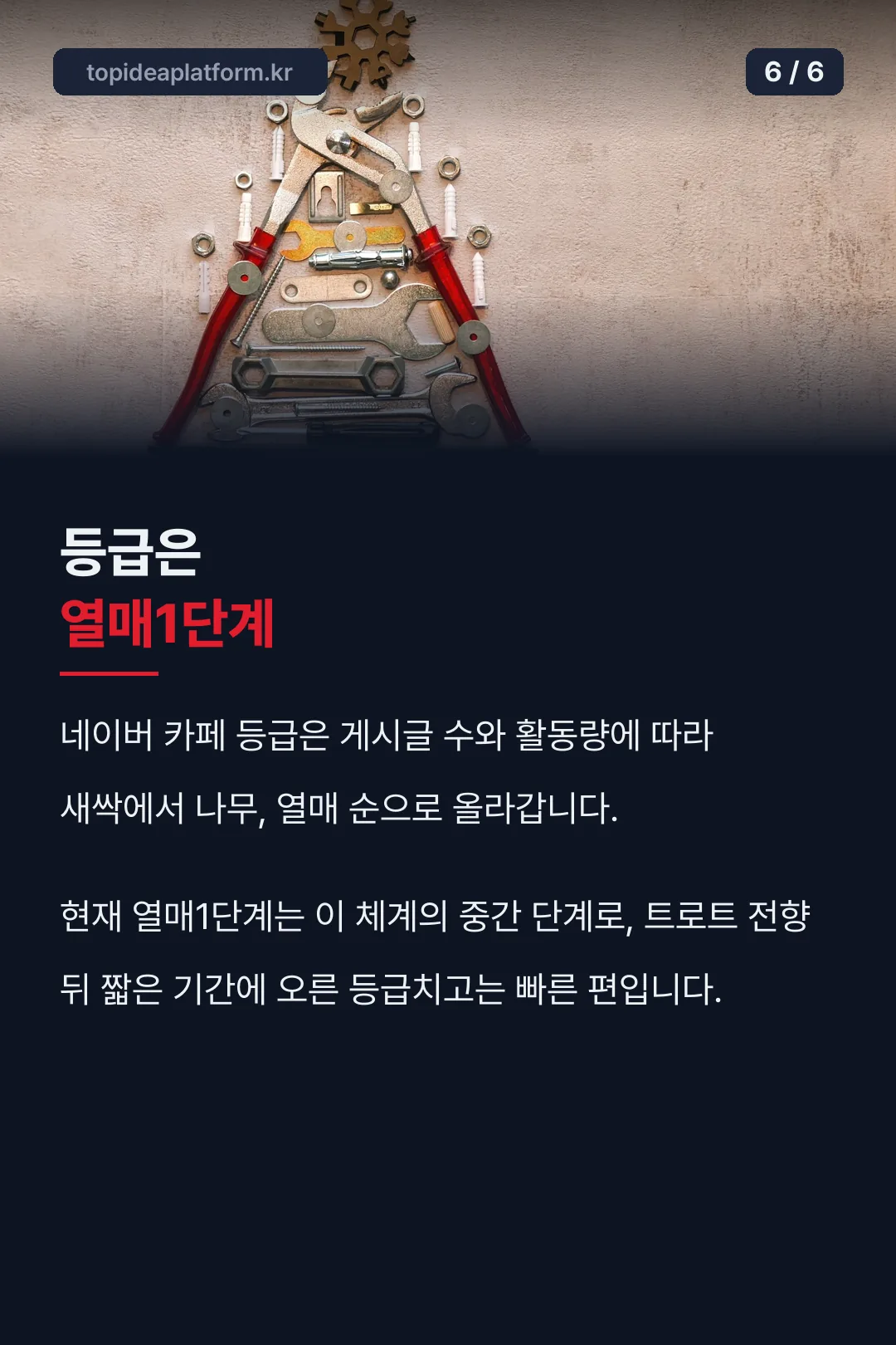 카페 등급 체계 설명