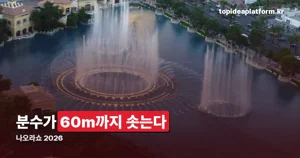나오라쇼 2026 — 원주 소금산 그랜드밸리, 10월 31일까지 밤 7시50분