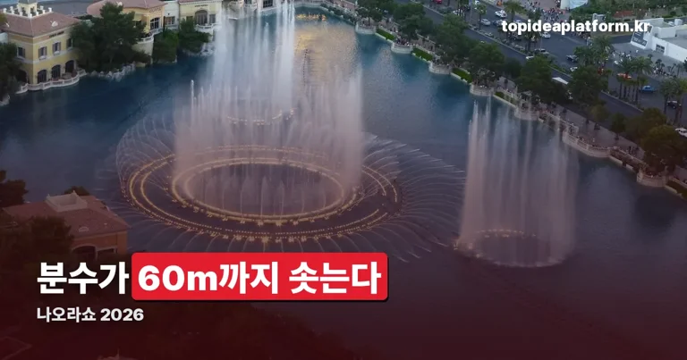 나오라쇼 정리 썸네일